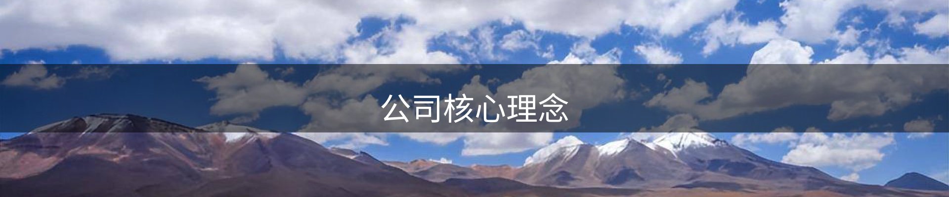 公司核心理念